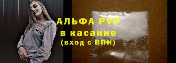 СК Белокуриха