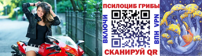 как найти   Малая Вишера  Галлюциногенные грибы мухоморы 